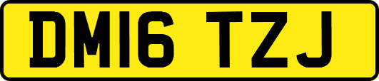 DM16TZJ