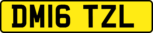 DM16TZL