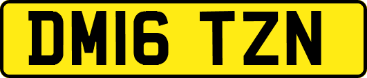 DM16TZN