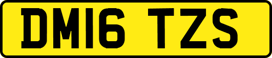 DM16TZS