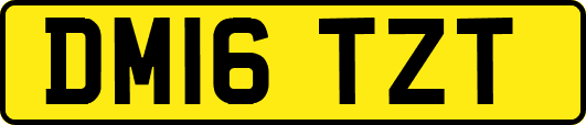 DM16TZT