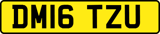 DM16TZU