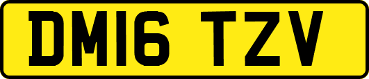 DM16TZV