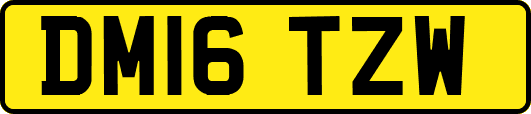 DM16TZW