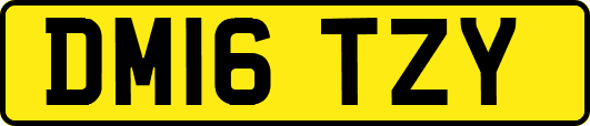 DM16TZY