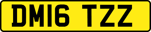 DM16TZZ