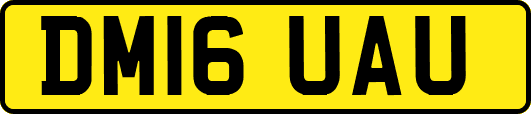 DM16UAU