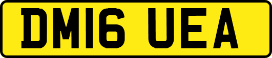 DM16UEA