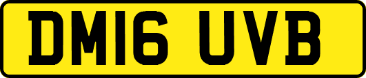 DM16UVB