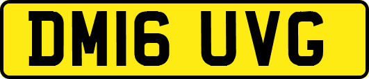 DM16UVG