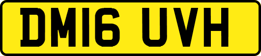 DM16UVH