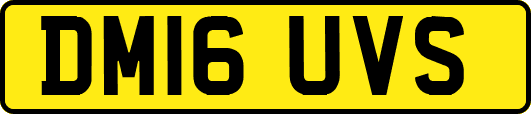 DM16UVS