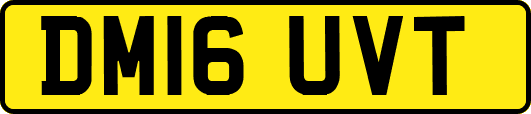 DM16UVT