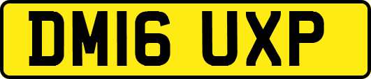 DM16UXP
