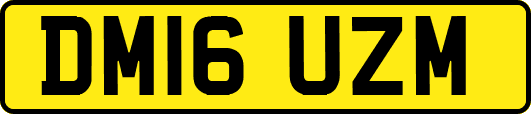 DM16UZM