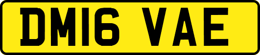 DM16VAE