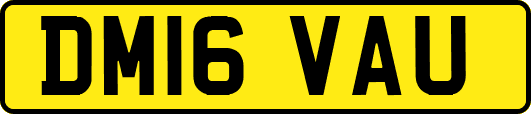 DM16VAU