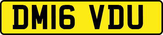DM16VDU