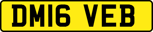 DM16VEB