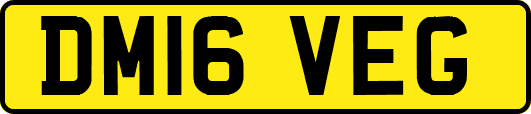DM16VEG