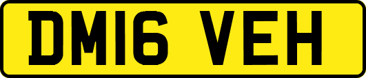 DM16VEH