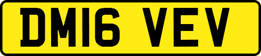 DM16VEV