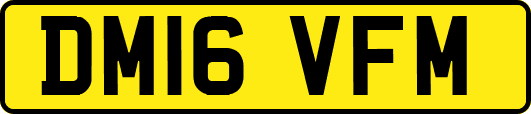 DM16VFM