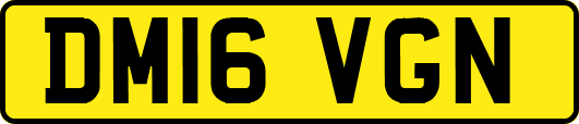 DM16VGN