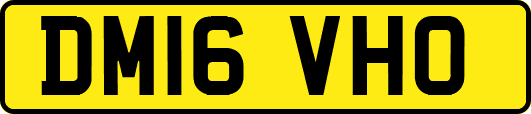 DM16VHO