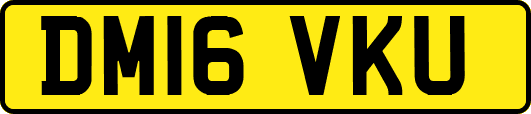 DM16VKU