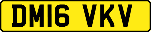 DM16VKV