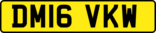 DM16VKW