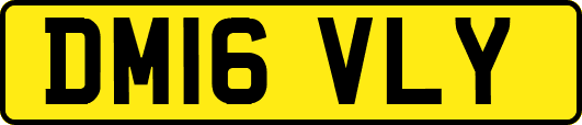 DM16VLY