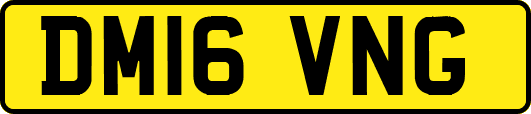 DM16VNG