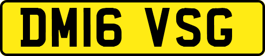 DM16VSG