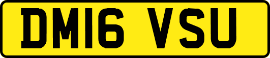 DM16VSU