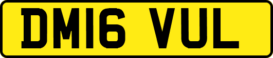 DM16VUL