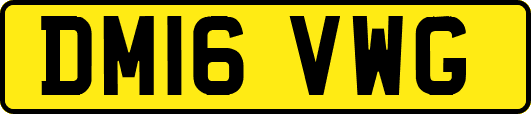 DM16VWG