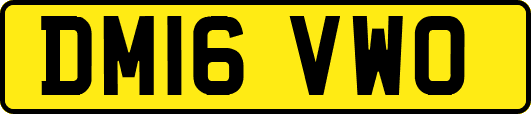 DM16VWO