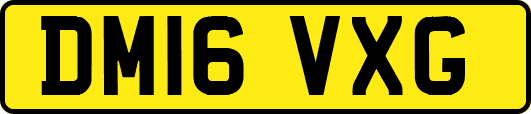 DM16VXG