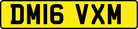 DM16VXM