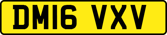 DM16VXV