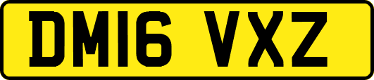 DM16VXZ