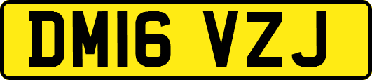 DM16VZJ