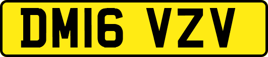 DM16VZV