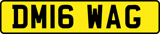 DM16WAG