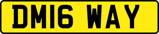 DM16WAY