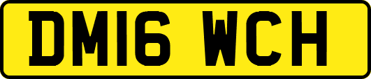DM16WCH