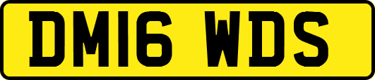 DM16WDS