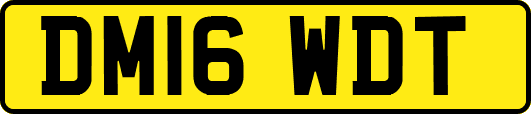 DM16WDT